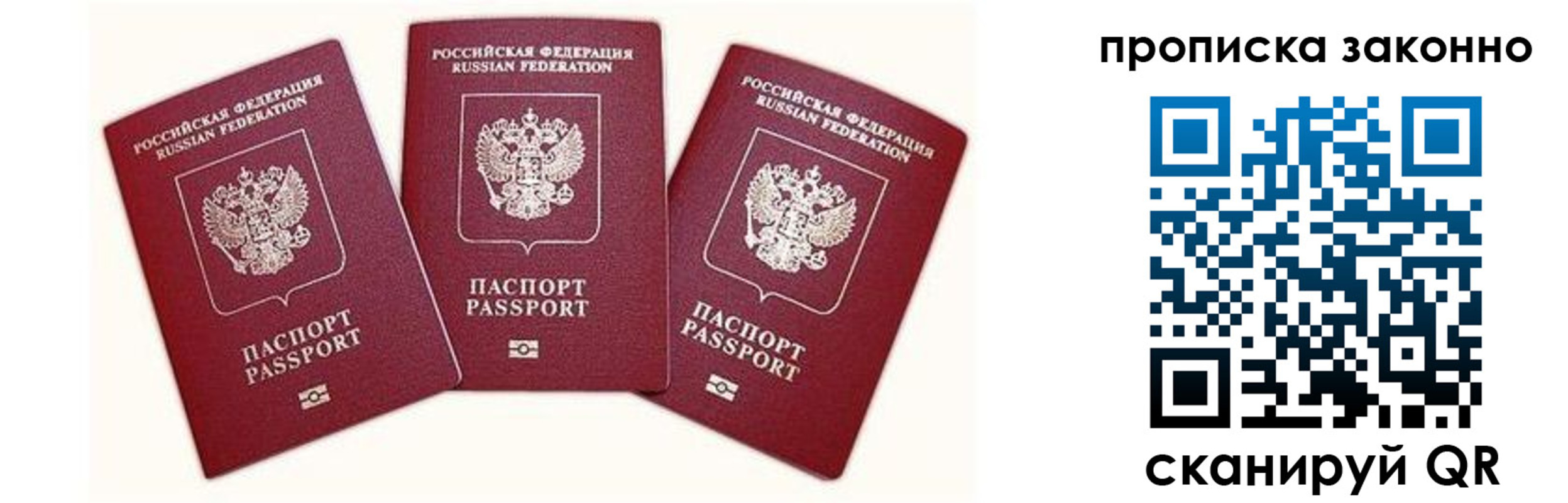 прописка законно в Камешково